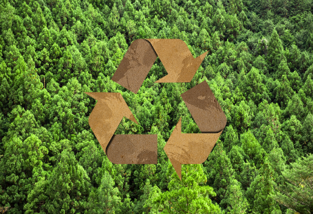 FSC-, EUDR- und PEFC-Leitfaden für die Beschaffung von Einweg-Verpflegungsbedarf